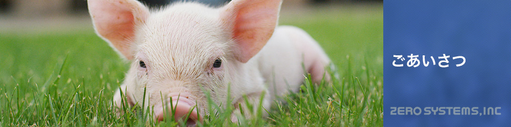 株式会社ゼロシステムズ | ごあいさつ